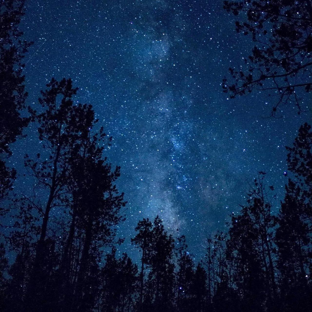 The Milky Way @ Pine Resort Fraser Hill Eksteriør bilde
